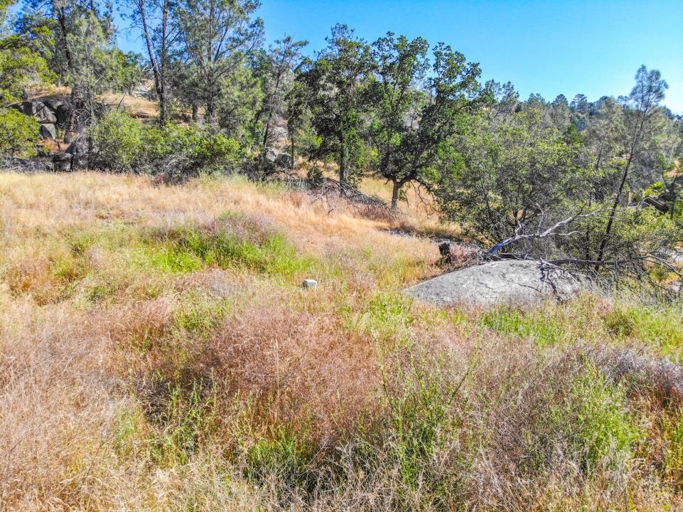 0 Long Hollow Drive Property Photo 14