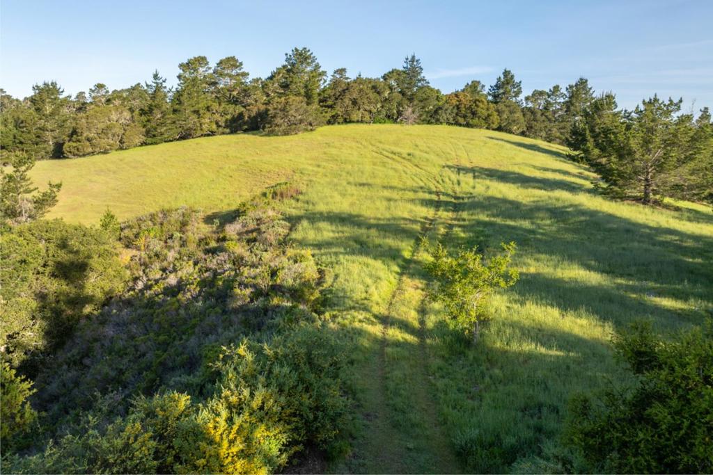 7925 Cinquenta (lot 97) Property Photo 5