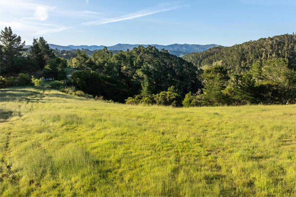 7925 Cinquenta (lot 97) Property Photo 6