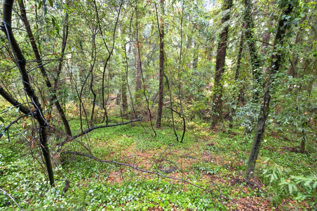 0 Highway 9 Property Photo 1