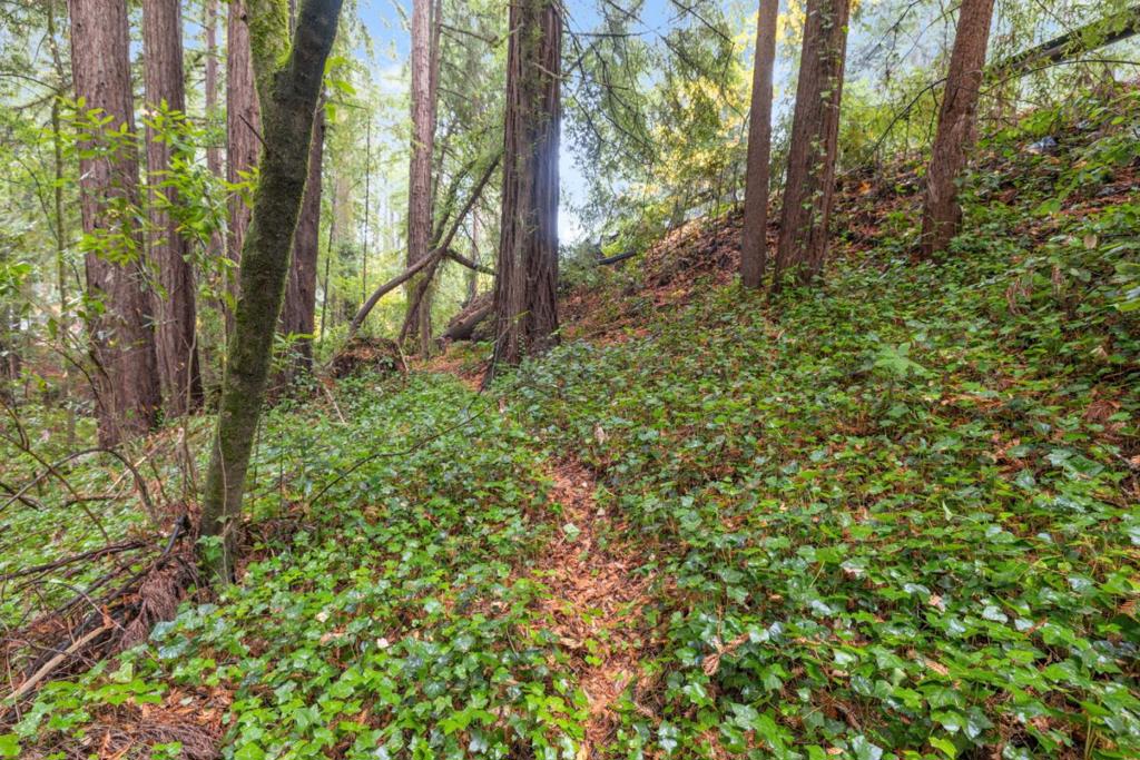 0 Highway 9 Property Photo 2