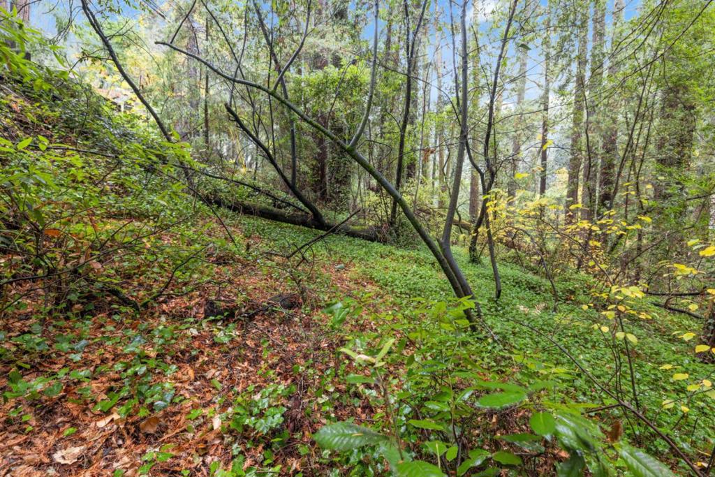 0 Highway 9 Property Photo 3