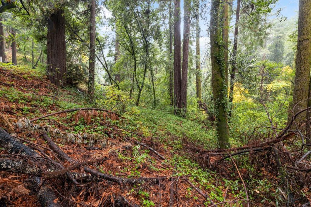 0 Highway 9 Property Photo 4