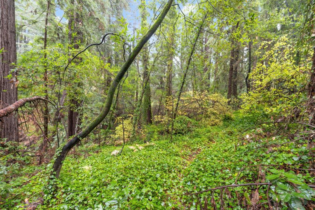 0 Highway 9 Property Photo 5