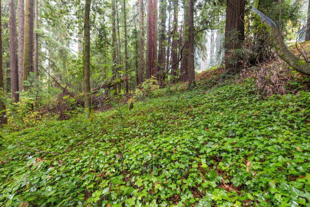 0 Highway 9 Property Photo 6
