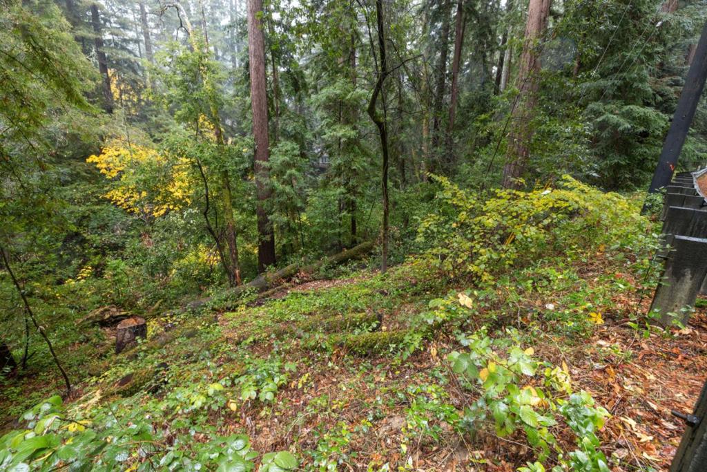 0 Highway 9 Property Photo 11
