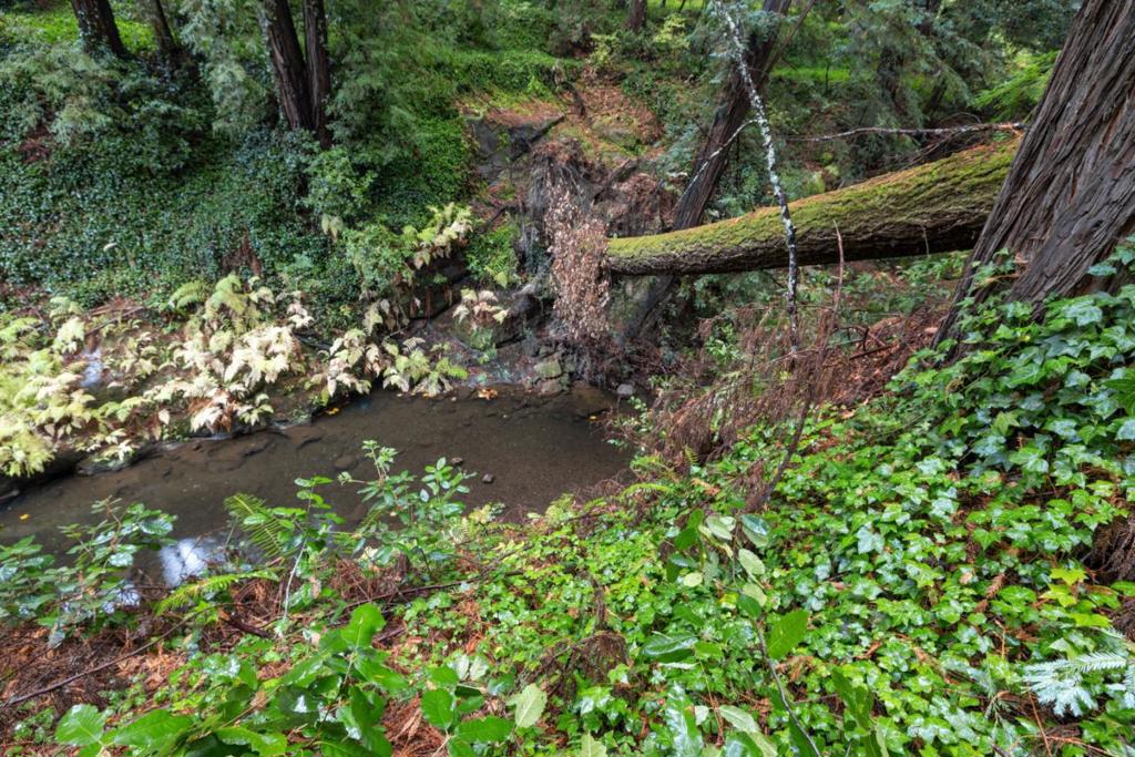 0 Highway 9 Property Photo 12
