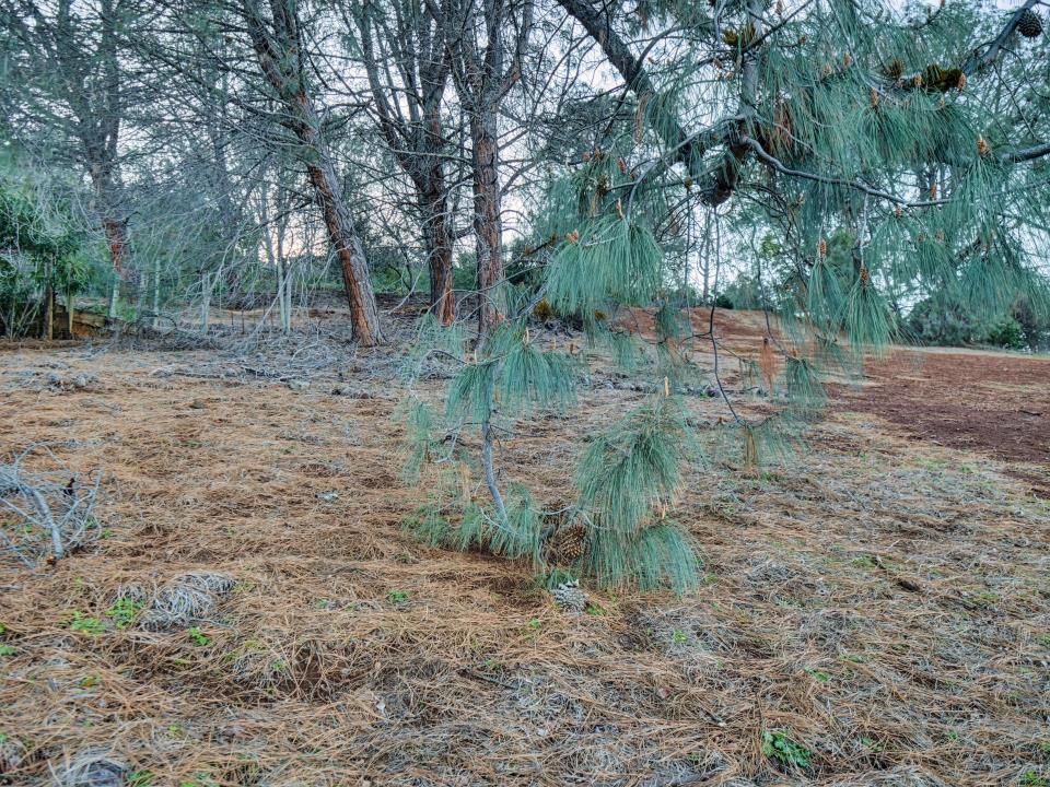 3223 S Lake Drive Property Photo 7