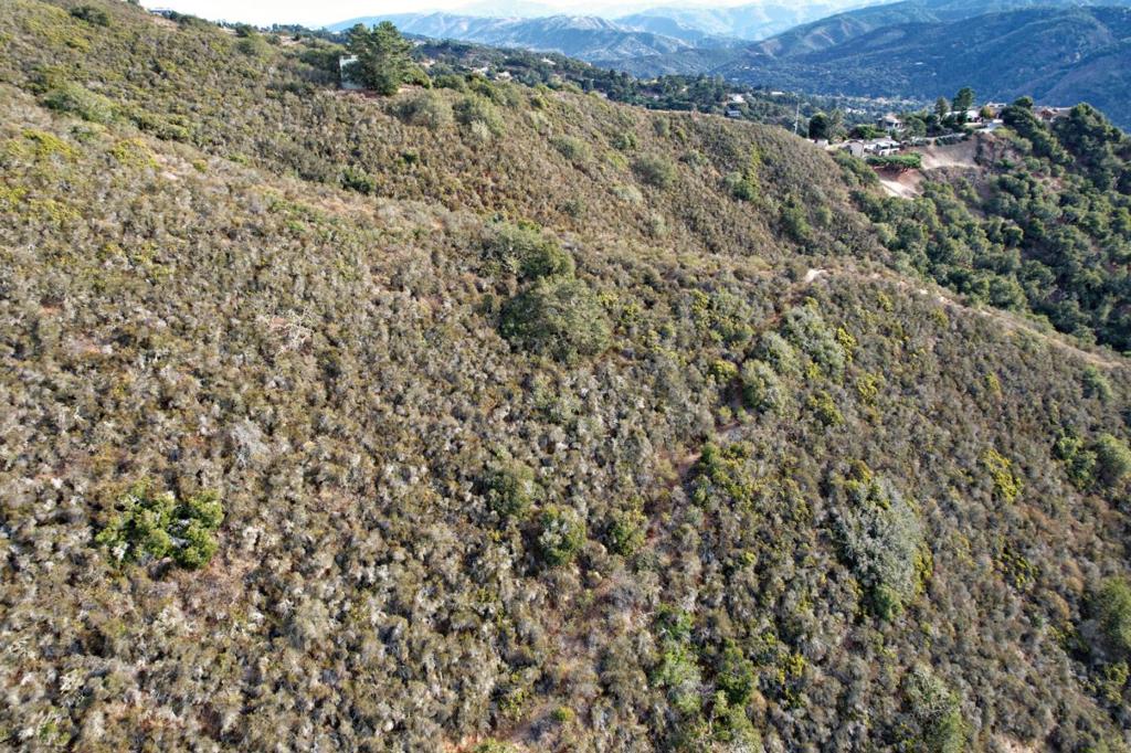 0 De Amaral Road Property Photo 12