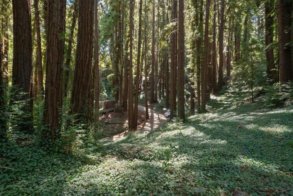 446 Old La Honda Road Property Photo 7