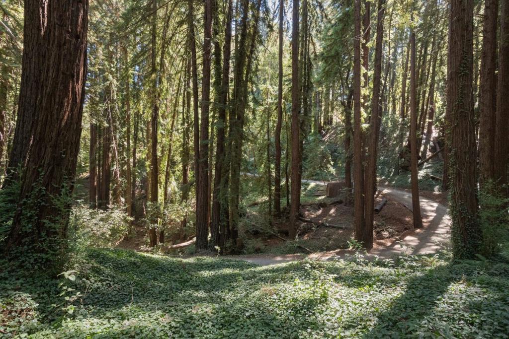 446 Old La Honda Road Property Photo 8