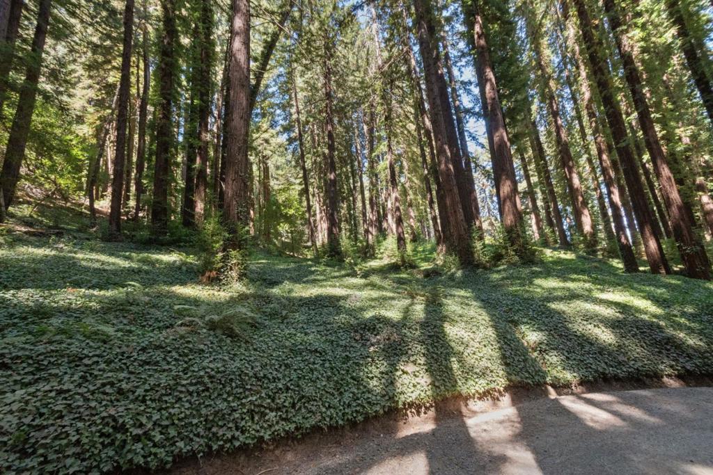 446 Old La Honda Road Property Photo 10
