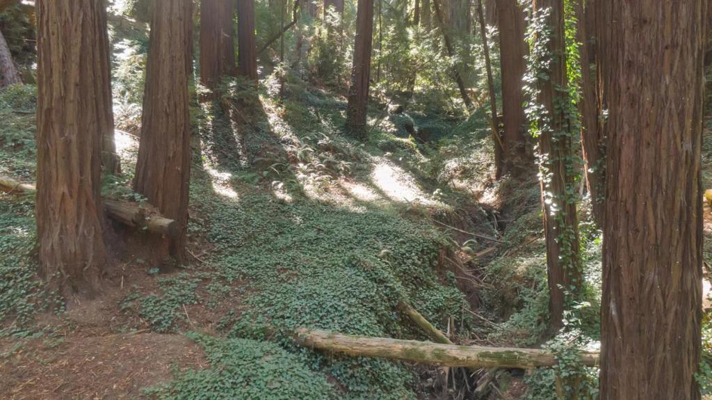 446 Old La Honda Road Property Photo 11
