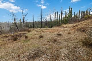 1005 Pinecrest Drive Property Photo 3
