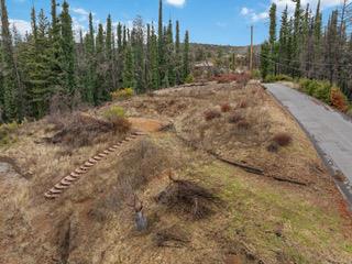 1005 Pinecrest Drive Property Photo 4
