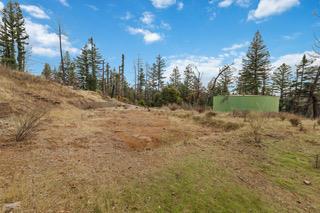 1005 Pinecrest Drive Property Photo 5