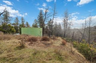 1005 Pinecrest Drive Property Photo 6