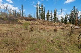 1005 Pinecrest Drive Property Photo 7