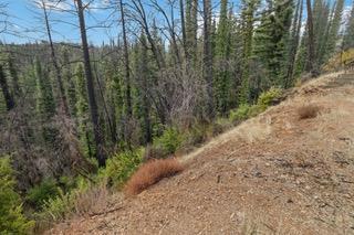 1005 Pinecrest Drive Property Photo 11