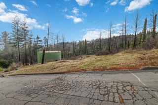 1005 Pinecrest Drive Property Photo 13