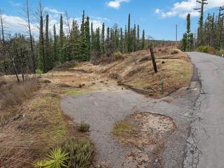 1005 Pinecrest Drive Property Photo 15