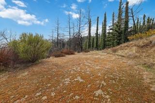 1005 Pinecrest Drive Property Photo 19
