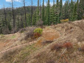 1005 Pinecrest Drive Property Photo 22