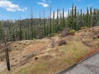 1005 Pinecrest Drive Property Photo 24