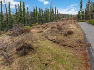 1005 Pinecrest Drive Property Photo 25