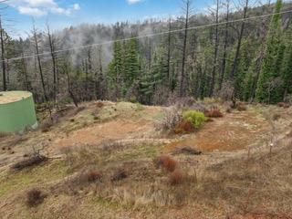 1005 Pinecrest Drive Property Photo 26