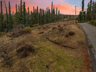 1005 Pinecrest Drive Property Photo 60