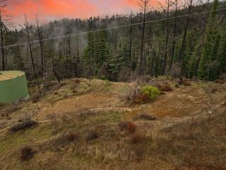 1005 Pinecrest Drive Property Photo 63