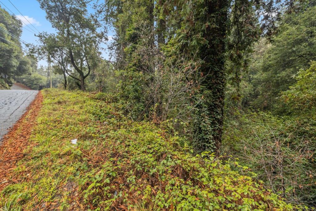 0 Cathedral Drive Property Photo 13