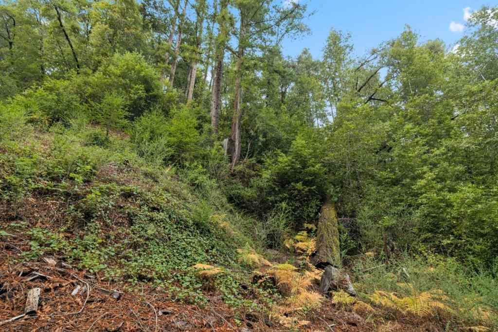 0 Hillside Drive Property Photo 1