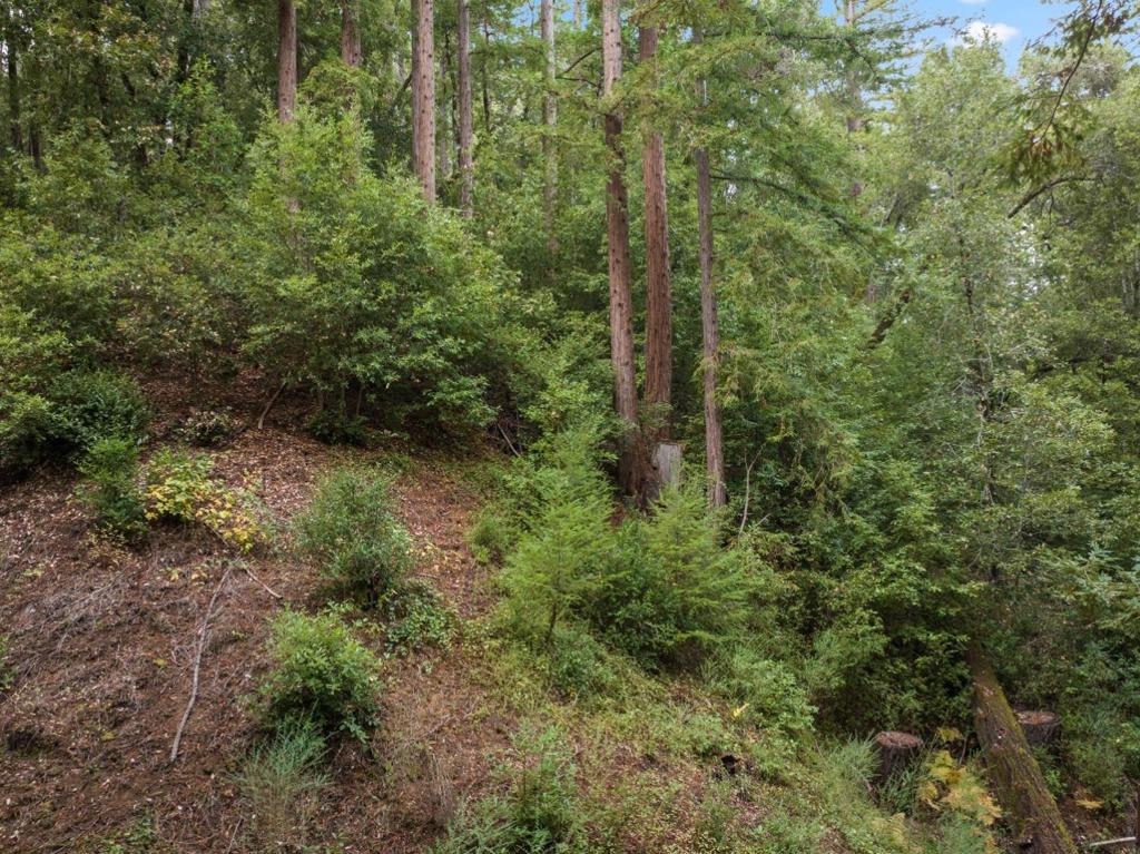 0 Hillside Drive Property Photo 3