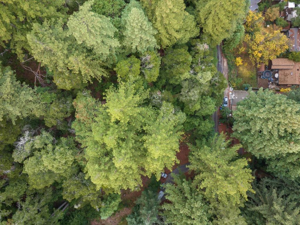 0 Hillside Drive Property Photo 16