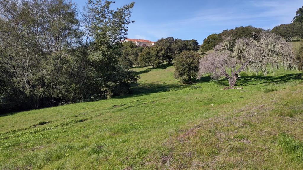 24480 Citation Court Property Photo 2
