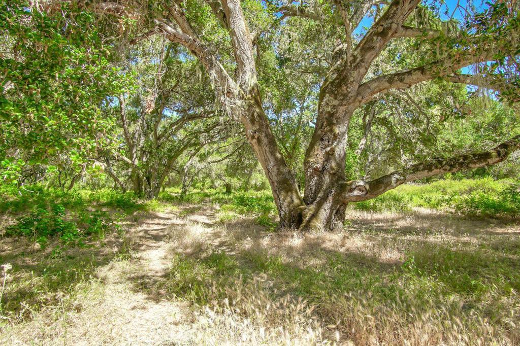 Creek Ranch, Carmel Valley Road Property Photo 8