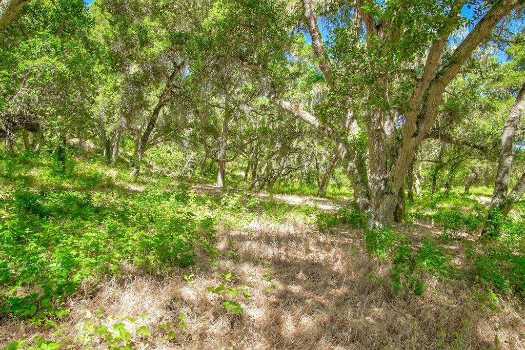 Creek Ranch, Carmel Valley Road Property Photo 9