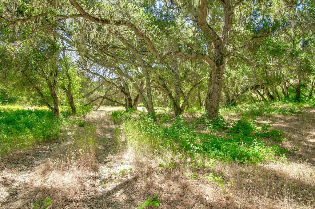 Creek Ranch, Carmel Valley Road Property Photo 10