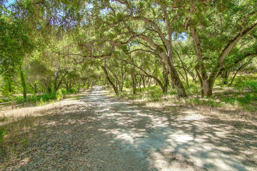 Creek Ranch, Carmel Valley Road Property Photo 11
