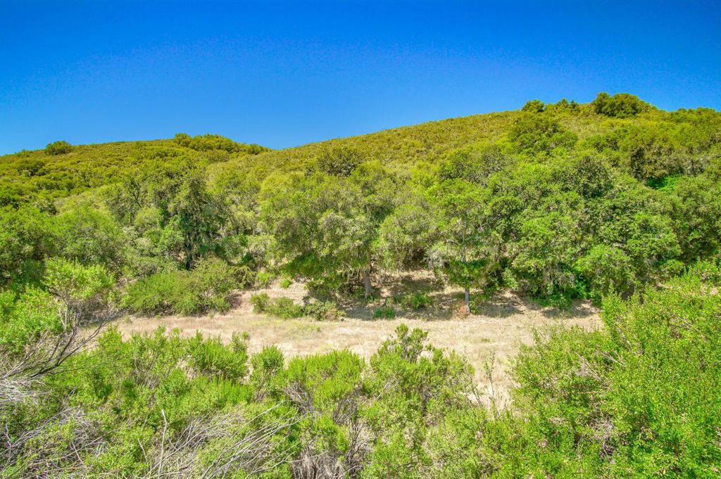 Creek Ranch, Carmel Valley Road Property Photo 14