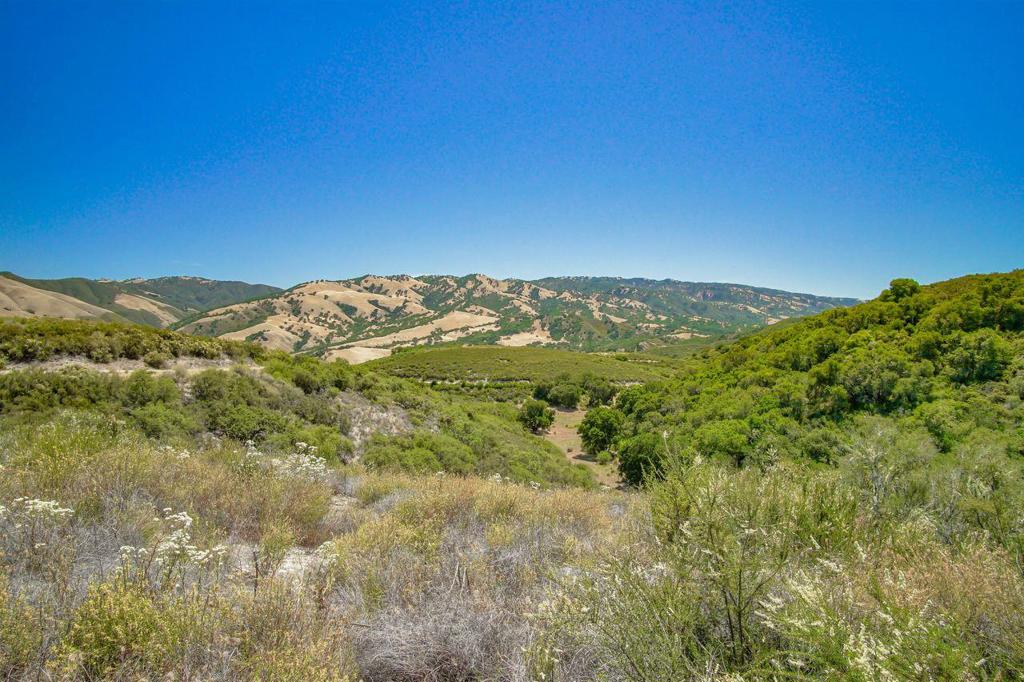 Creek Ranch, Carmel Valley Road Property Photo 17