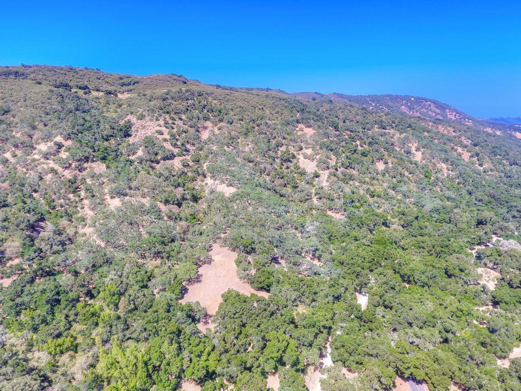 Creek Ranch, Carmel Valley Road Property Photo 21