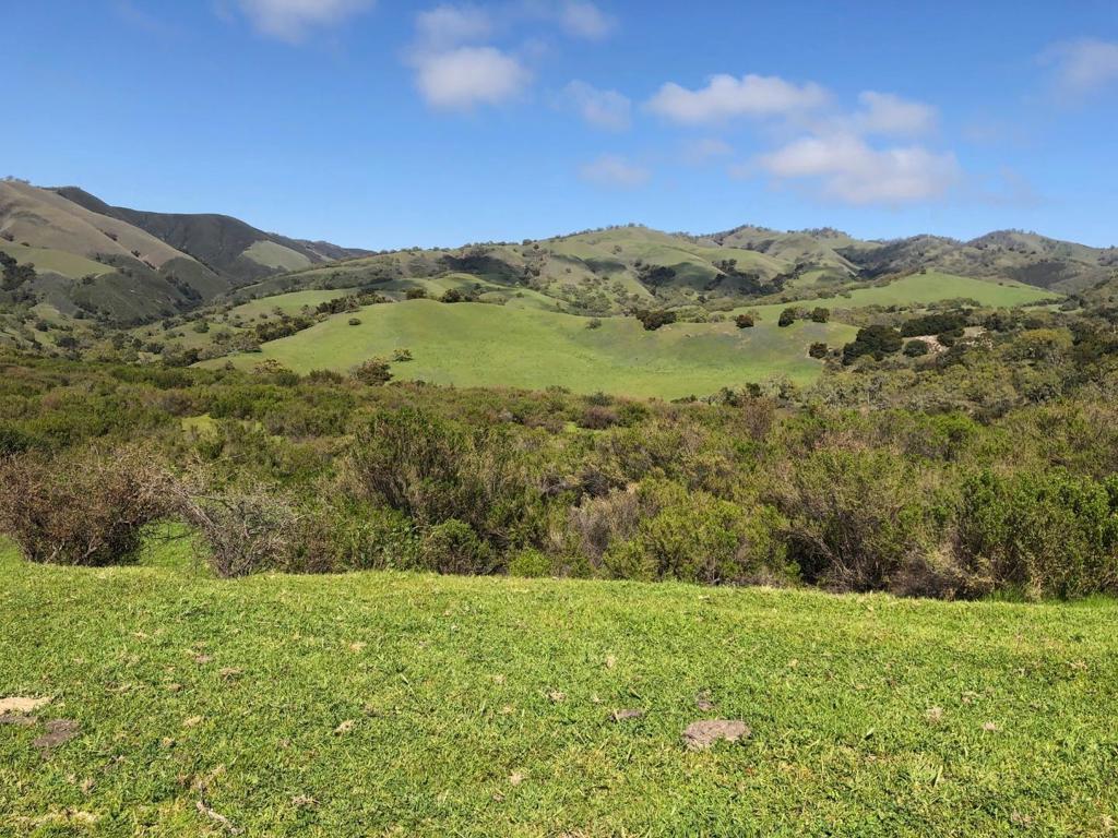 Creek Ranch, Carmel Valley Road Property Photo 32