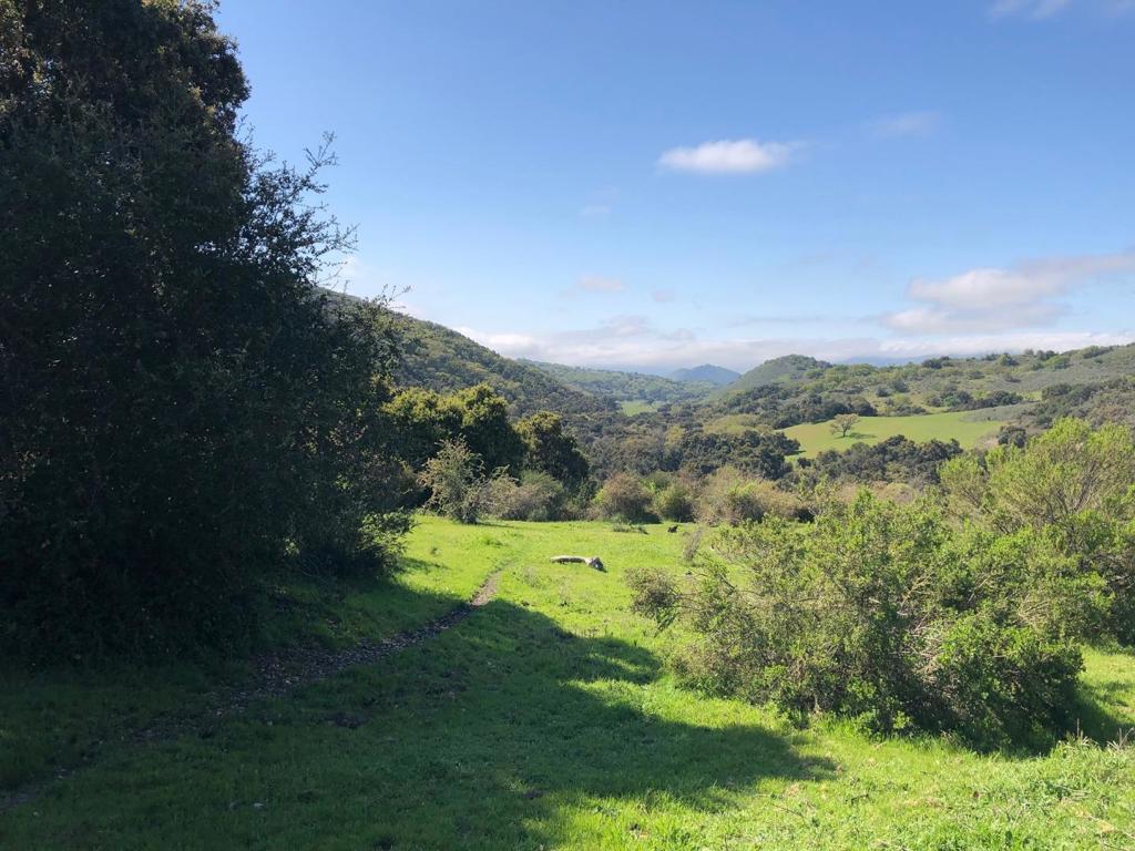Creek Ranch, Carmel Valley Road Property Photo 35