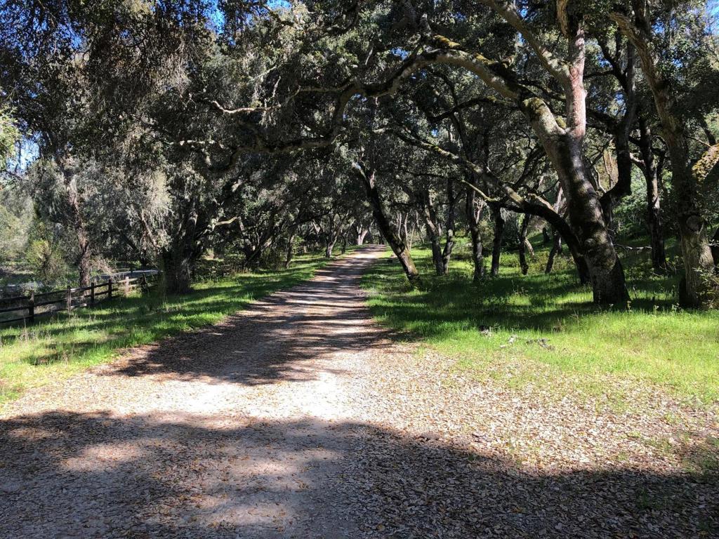 Creek Ranch, Carmel Valley Road Property Photo 36