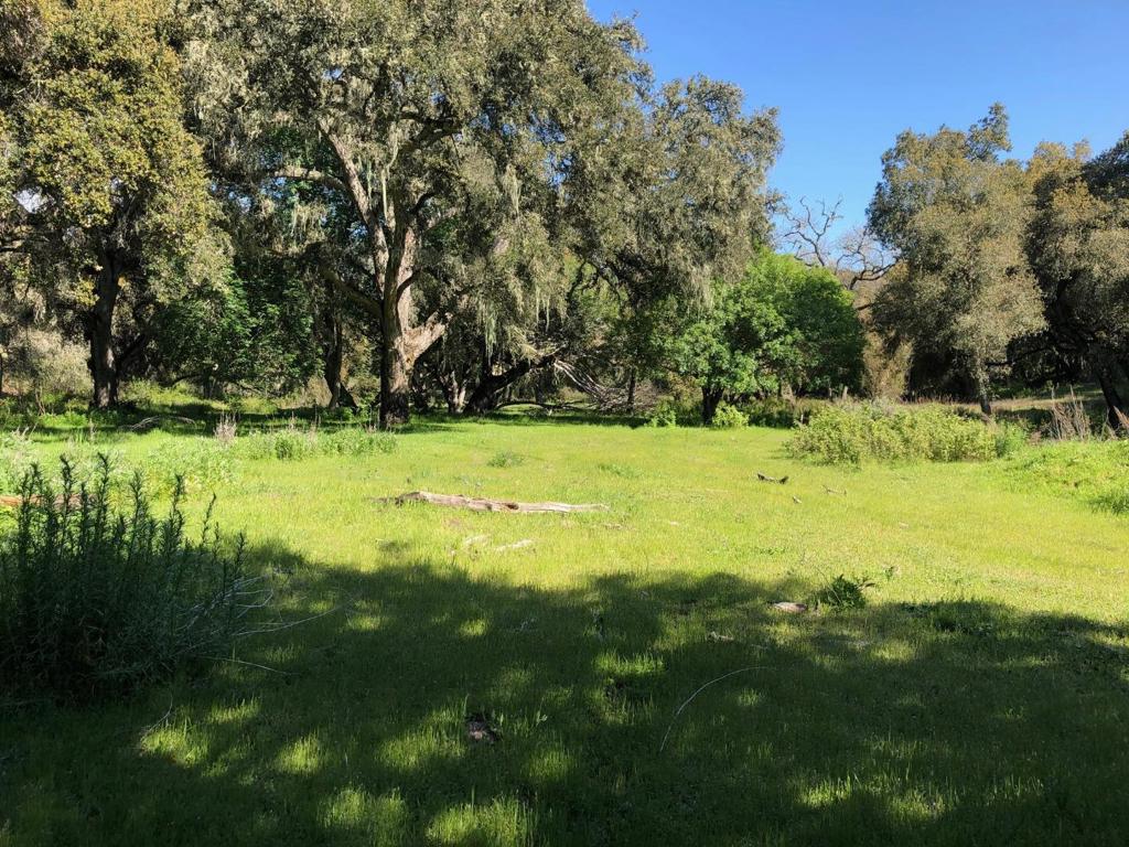 Creek Ranch, Carmel Valley Road Property Photo 38