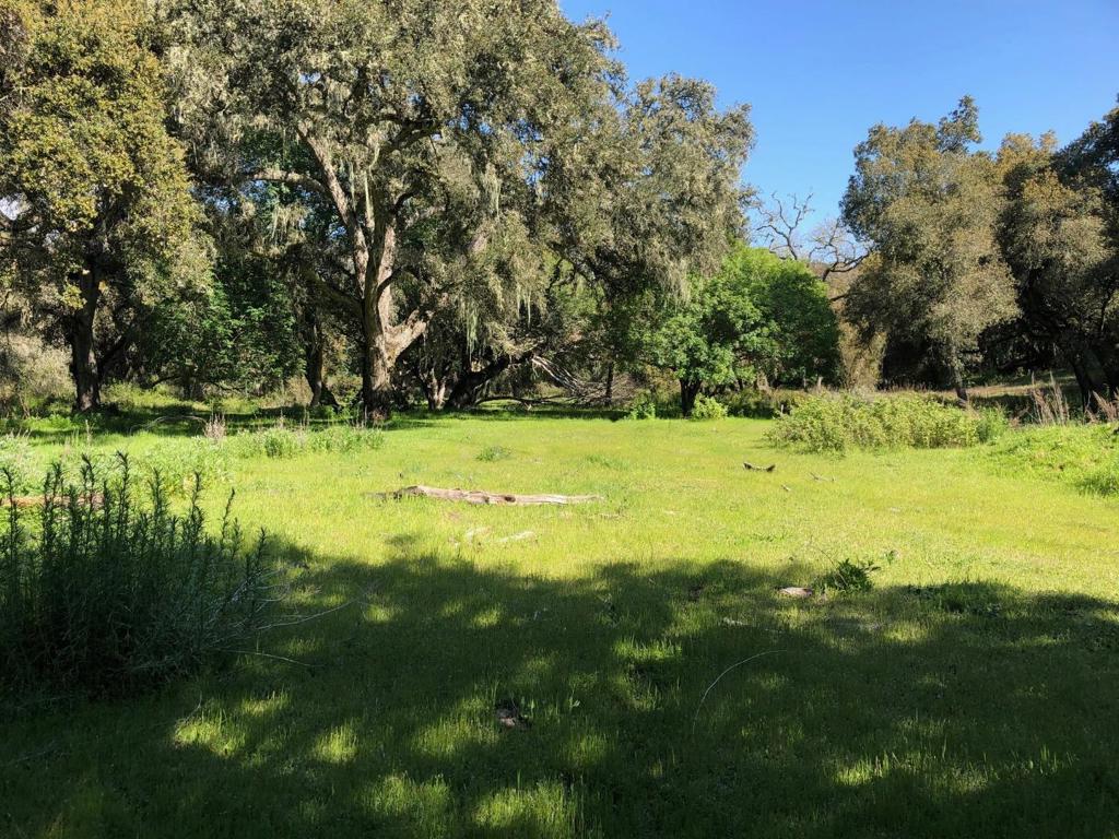 Creek Ranch, Carmel Valley Road Property Photo 39