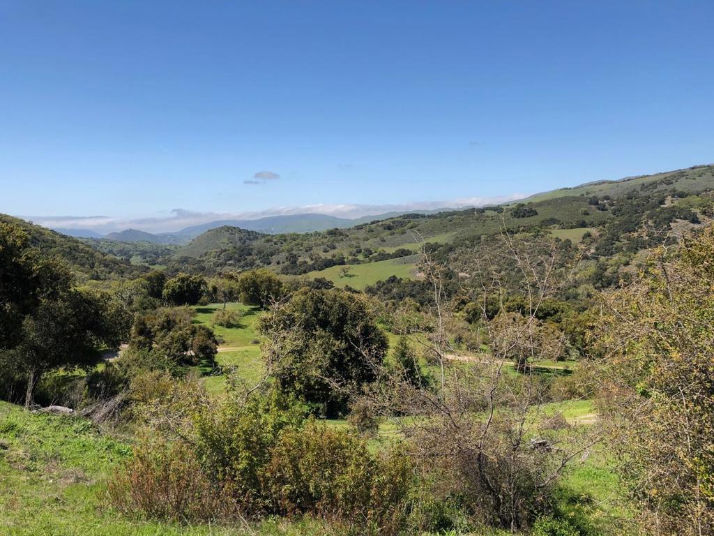 Creek Ranch, Carmel Valley Road Property Photo 43